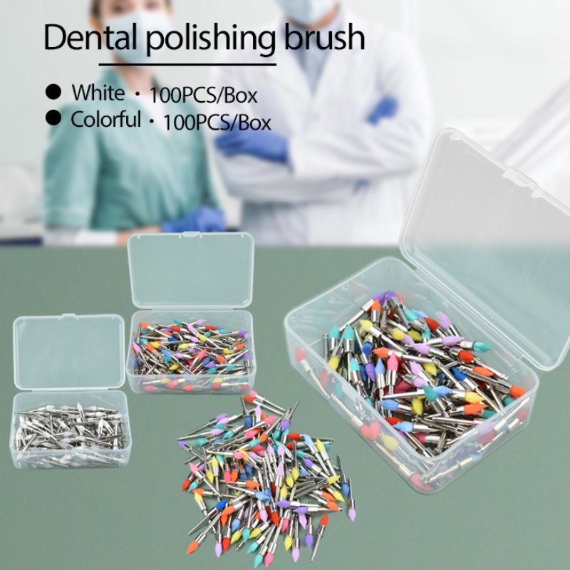 Brosse De Polissage Dentaire - Pour Pièce à Main à Cliquet - Prophy - Neuf