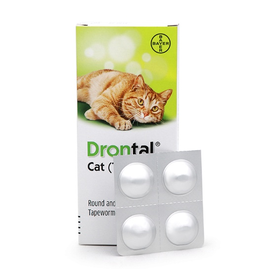 Ubat Cacing Kucing Bayer Cat Deworm (1 Tablet) Shopee Malaysia