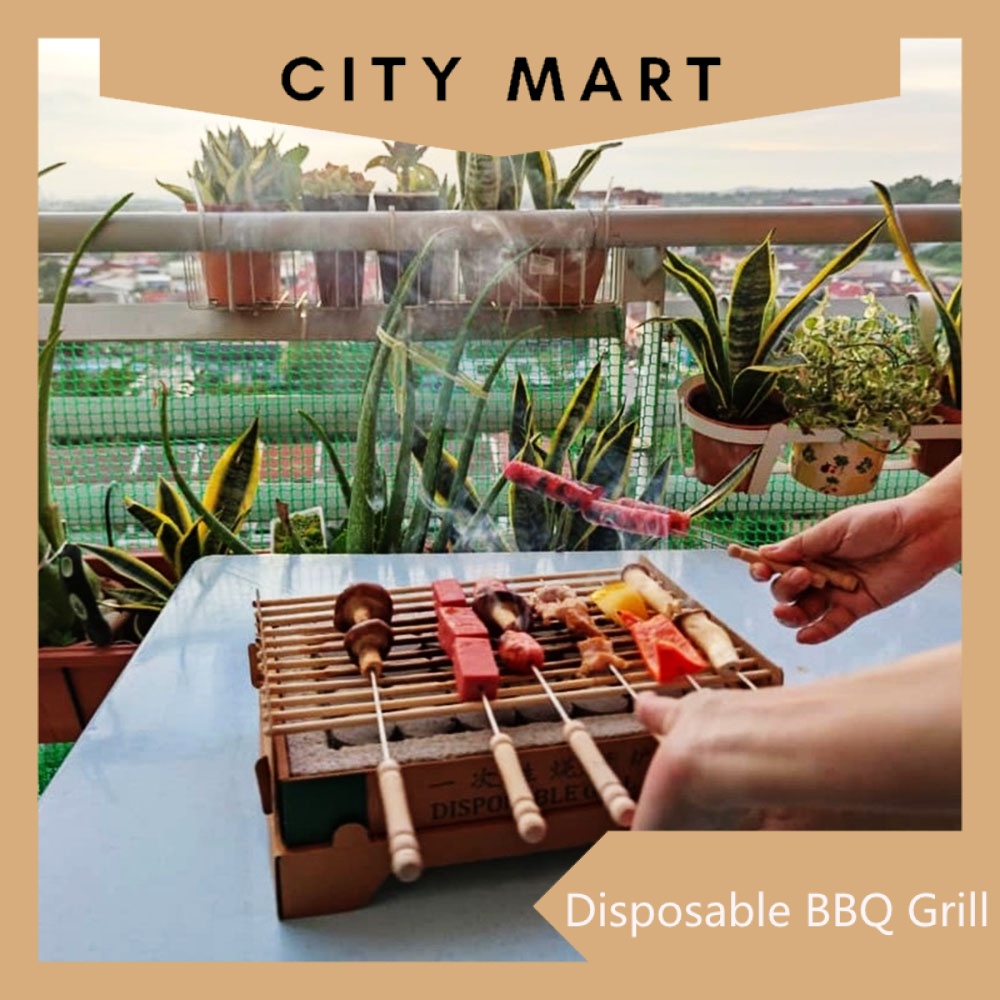 Disposable BBQ Grill With Stone Tray Outdoor Camping BBQ Set