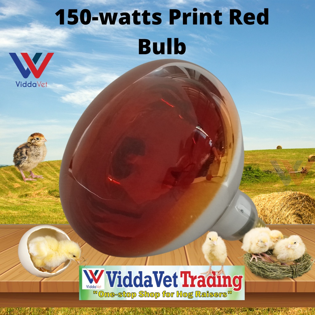 [150Watts] Print Red Infrared Brooding Bulb for animals poultry farm ...