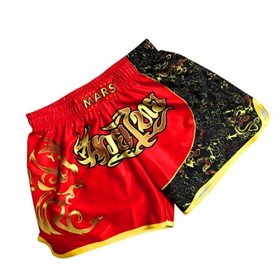 Short De Combat Islero Muay Thai MMA Kick Boxing - Grappling Arts Martiaux UFC