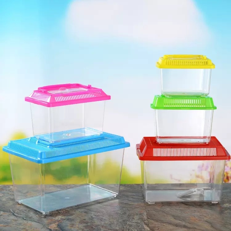 Portable Plastic Fish Tank Aquarium Betta Guppy Turtle Bekas Ikan ...