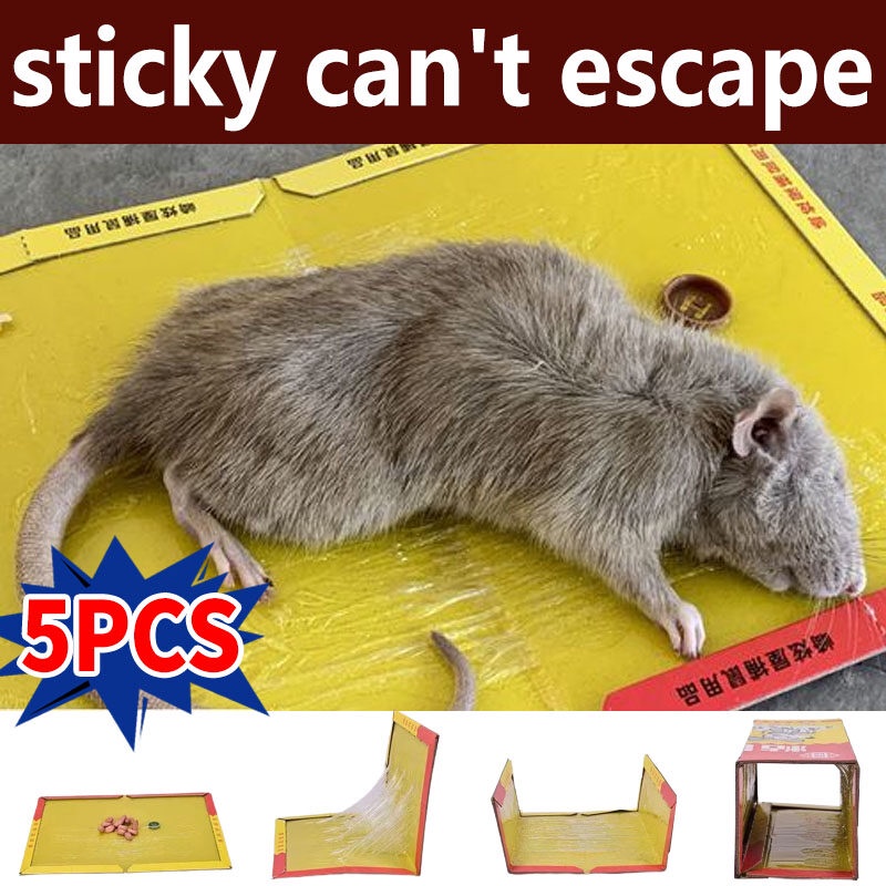Can be folded freely 5pcs Gam tikus paling kuat Rat glue trap Mouse