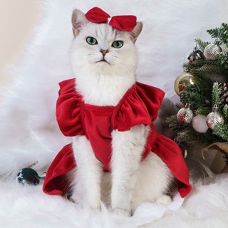 Cat christmas dress store womens