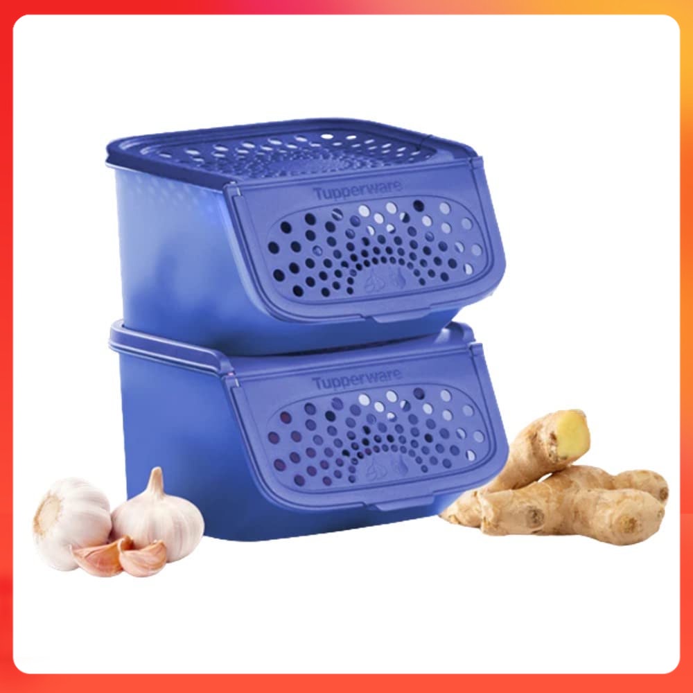 Tupperware 2.3L Garlic N All Keeper Bekas Potato Onion Ginger Gralic Keeper Kitchen Organizer