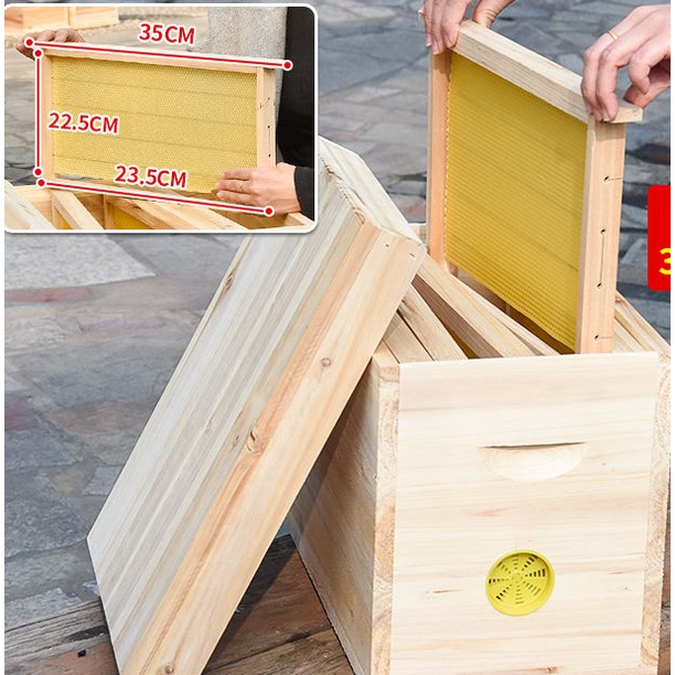 Bee Box Soil Beekeeping Utensils Mini Hive Peak Box Full Set Apis