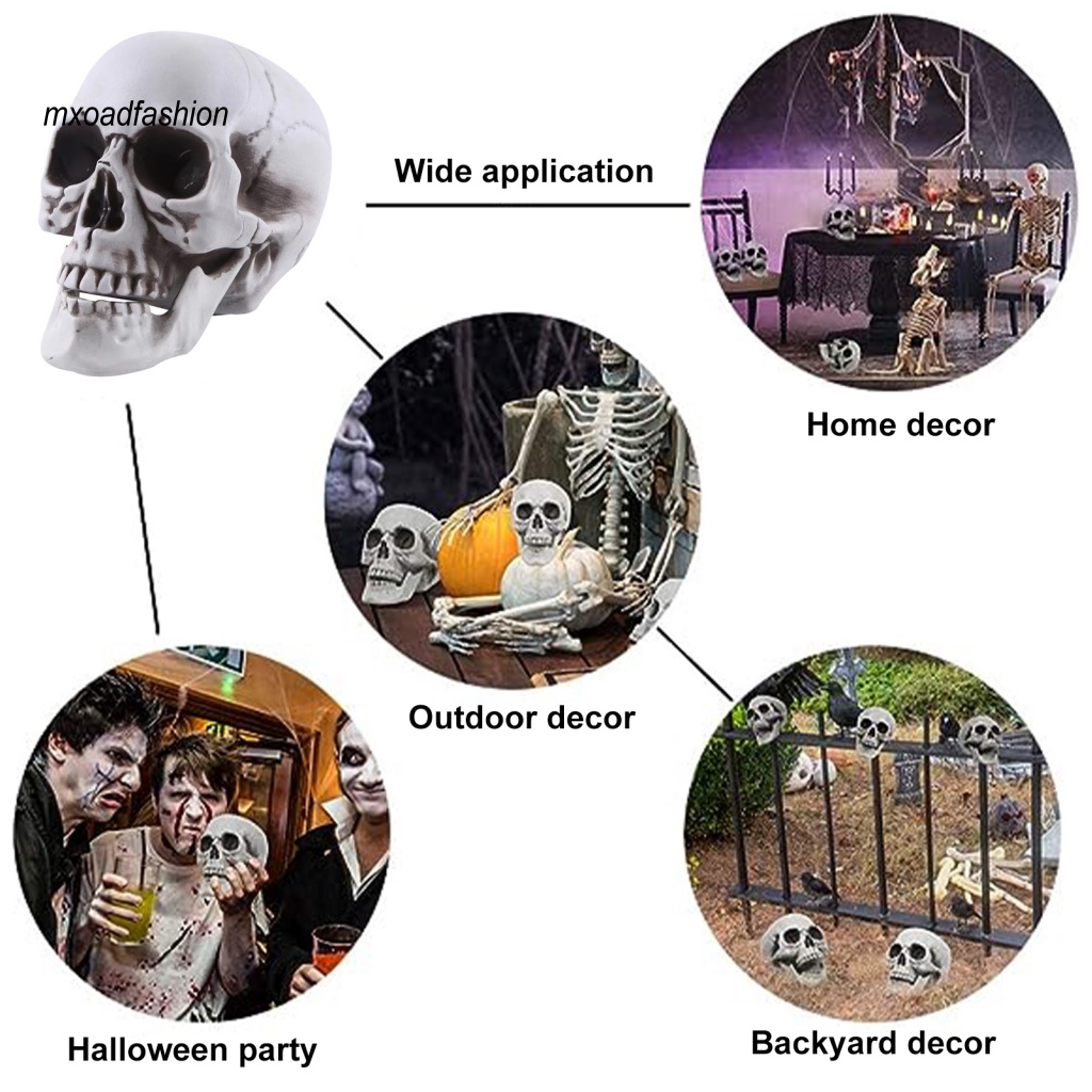 MX_ Realistic Skull Prop Ancient Dungeon Skull Props Realistic Life Size Human Skull Model