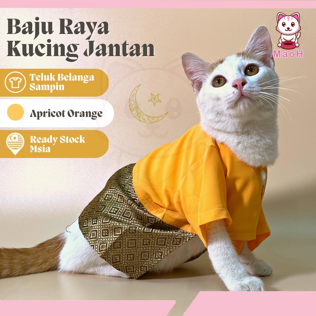 MaoH Baju Raya Kucing Jantan (Apricot Orange) Teluk Belanga Sampin 2024