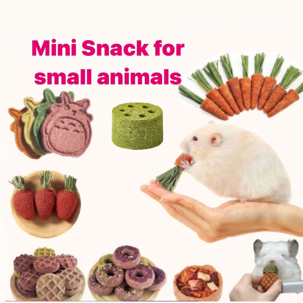 Natural Mini Rabbit Hamster Snacks Toy Edible Dental chew molar rabbit