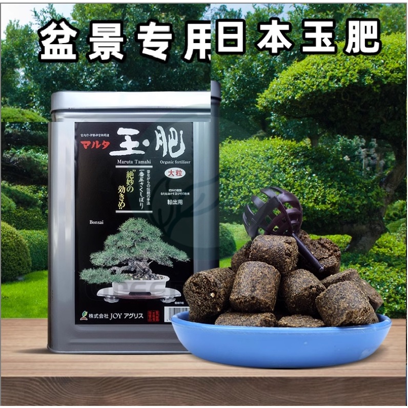 【250G】日本 有机玉肥 Maruta Tamahi Japanese Organic Jade Fertilizer Baja Jed
