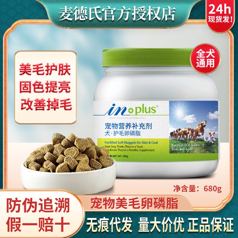 Med's Ultra-Concentrated Dog Lecithin Teddy Golden Retriever Powder No ...