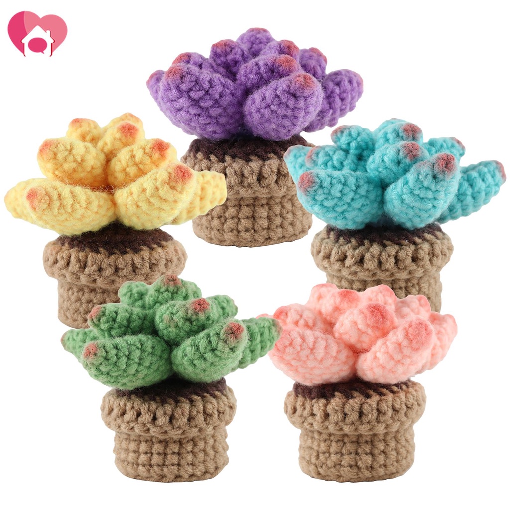 Succulents Crochet Kit Succulents Plant Knitting Set 5 Succulents