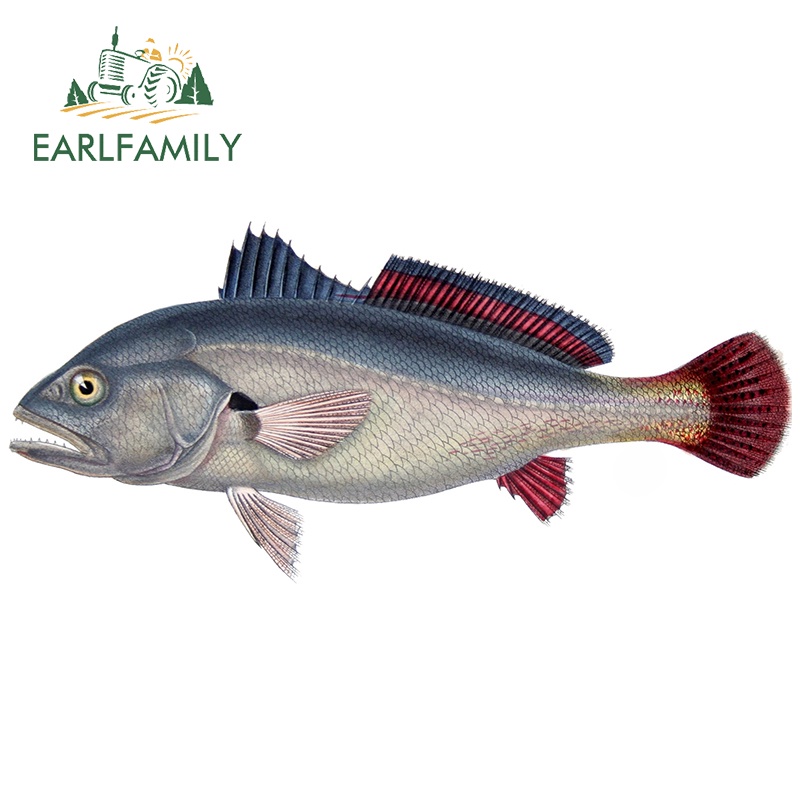 EARLFAMILY 13cm x 6.1cm For Snapper Fish Funny Car Sticker Funny ...
