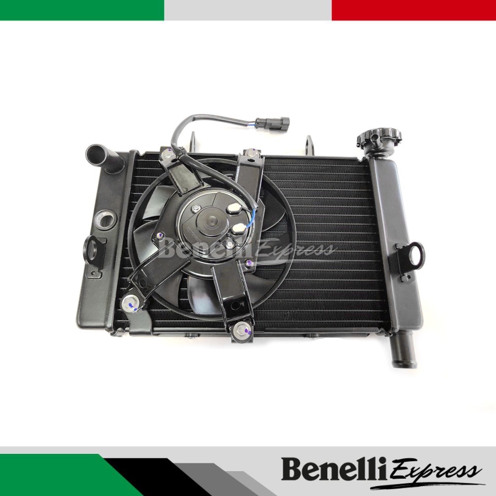 Benelli Leoncino 250 Water Tank Fan Cooling Box Radiator Assembly ...