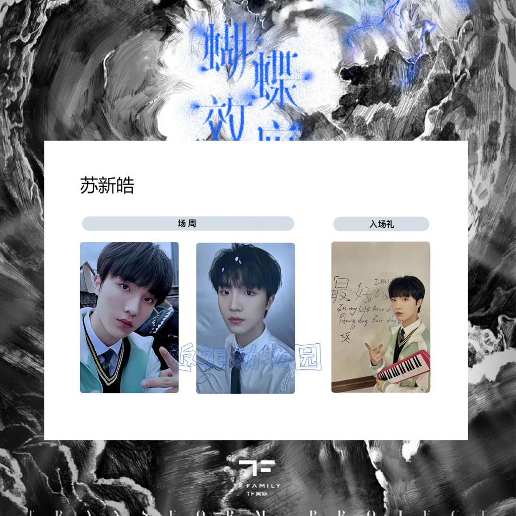 TF家族 三代 张极 场周 a款 蝴蝶效应 特典 トレカセット TF家族三代登陆计划蝴蝶效应重庆场演唱会场周小卡内场礼包卡TF
