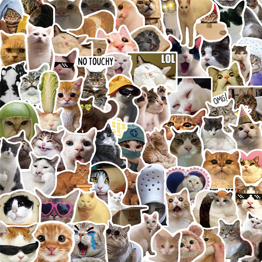 100Pcs/Set Internet Celebrity Cats Series A Stickers DIY Fashion ...