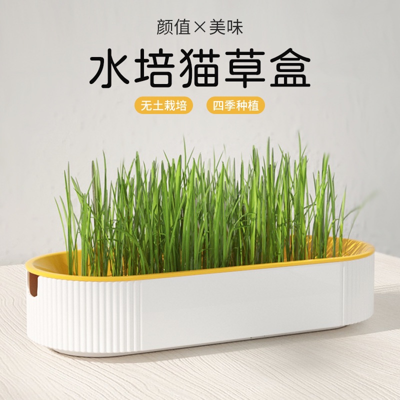 Hydroponic Cat Grass Box Cat Grass Box Cat Grass Planting Hydroponic