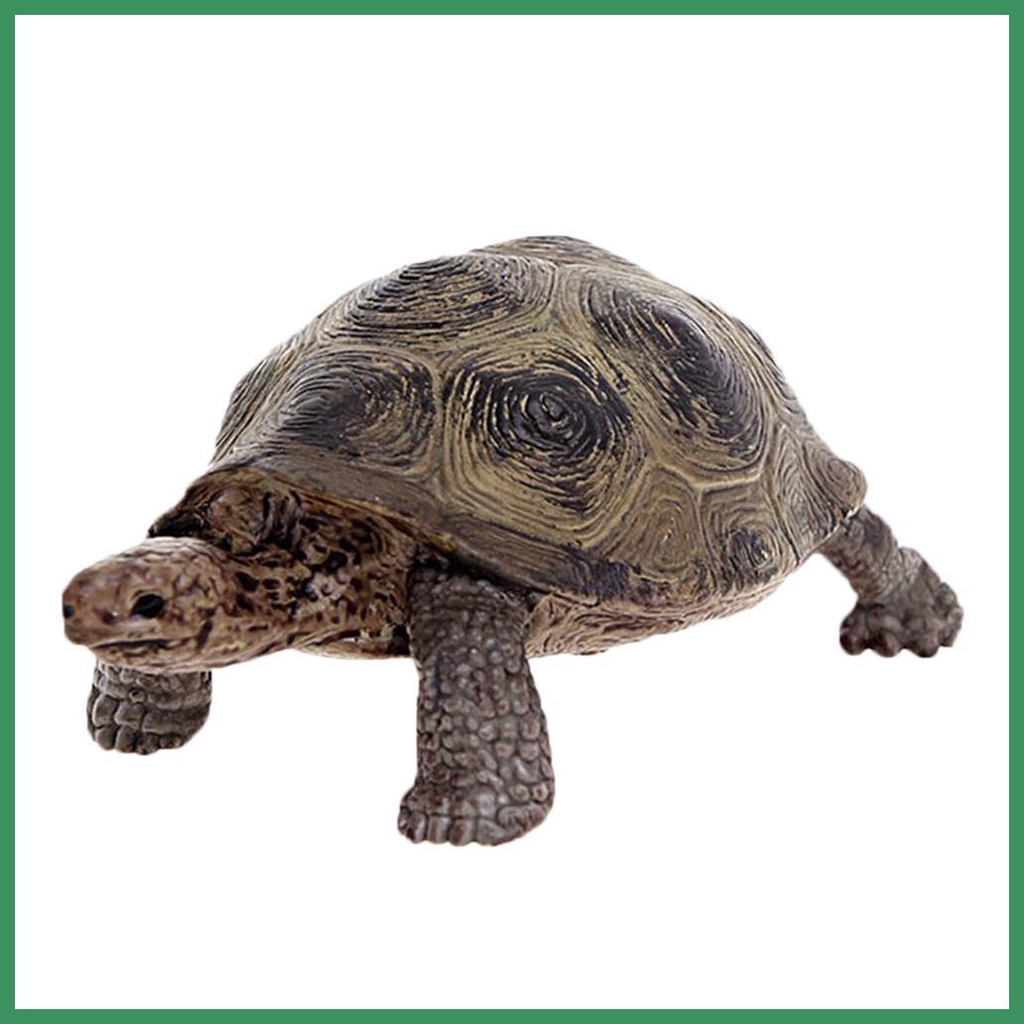 Toy Turtles For Kids Ocean Sea Marine Animal Model Figures Realistic Turtle Figurines Tortoises