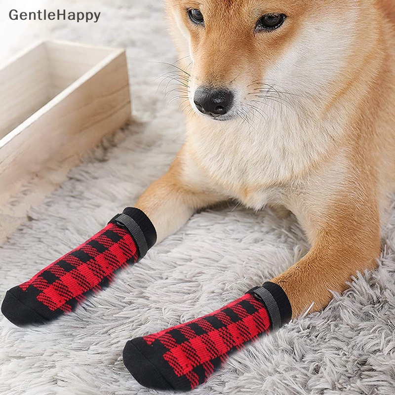 Dog shoes clearance socks