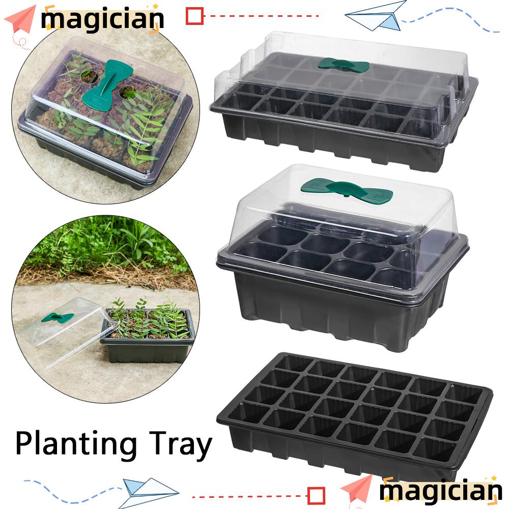 MAGIC Greenhouse Germination Box With Clear Cover Nursery Pots Planting Tray Office Sprout Plate