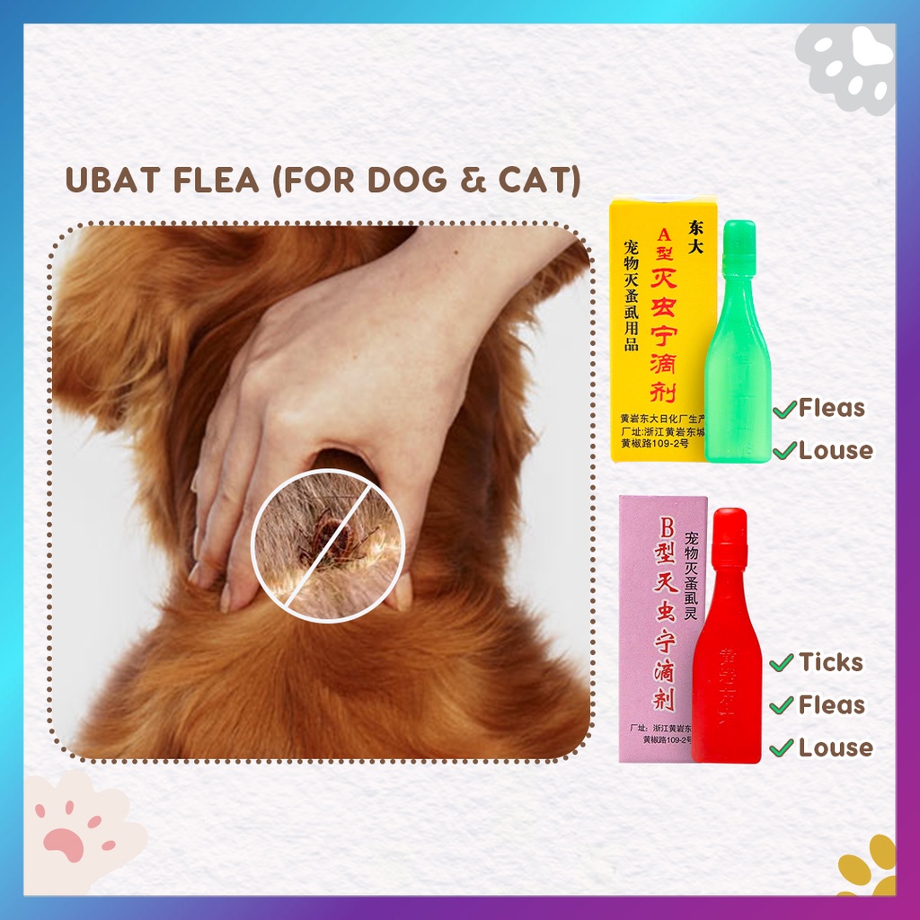 Pet Flea Drop Dogs Cats Anti-Flea Anti Tick | Ubat Kutu Haiwan_UF ...