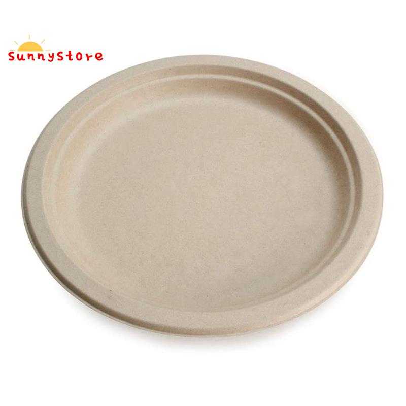 100% Compostable Disposable Paper Plates Bulk 9 Inch 50 Pack, Bamboo ...