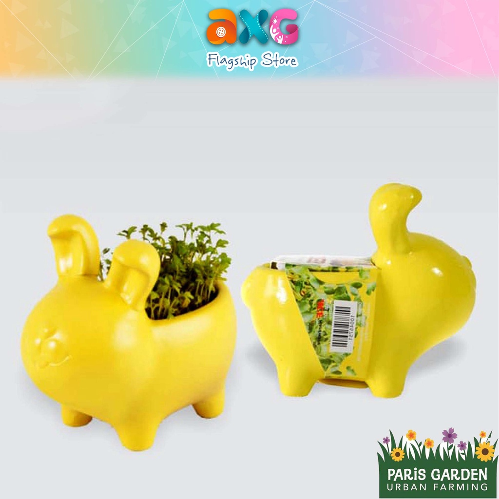 RAYA SALES | Paris Garden Animal Pot Rabbit Gress Grow Kit [Free ...