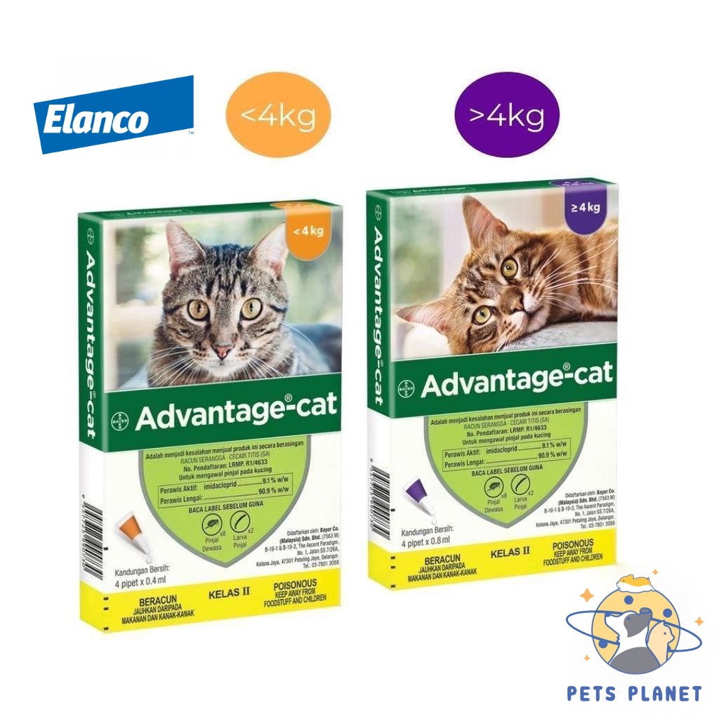 Elanco Bayer Advantage Cat Spot On - Flea Treatment / Ubat Kutu Kucing ...