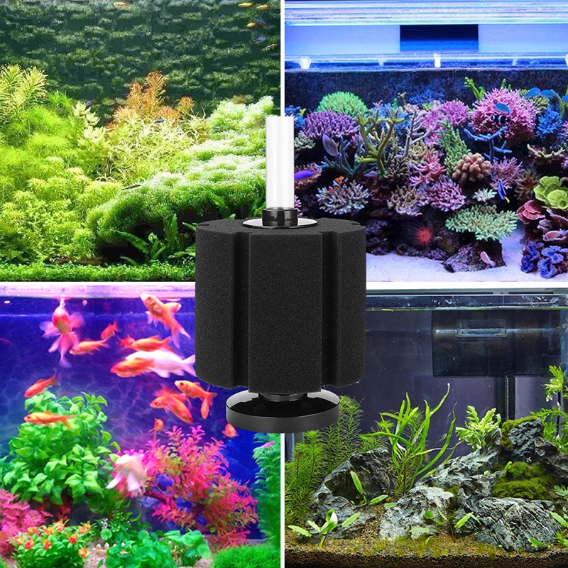 Sponge Filter Aquarium Biochemical Foam Air Pumps Avoiding Suction Of