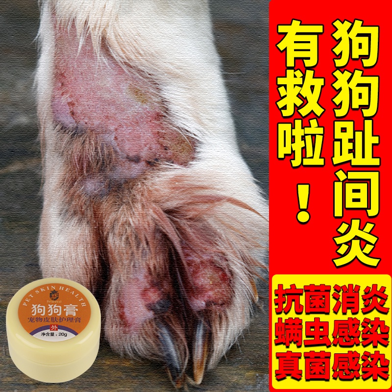 Dog Inflammation Dedicated Ointment Inflammation On Finger Inflammation