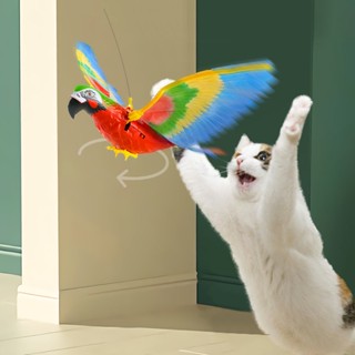 Hovering bird cat toy hotsell