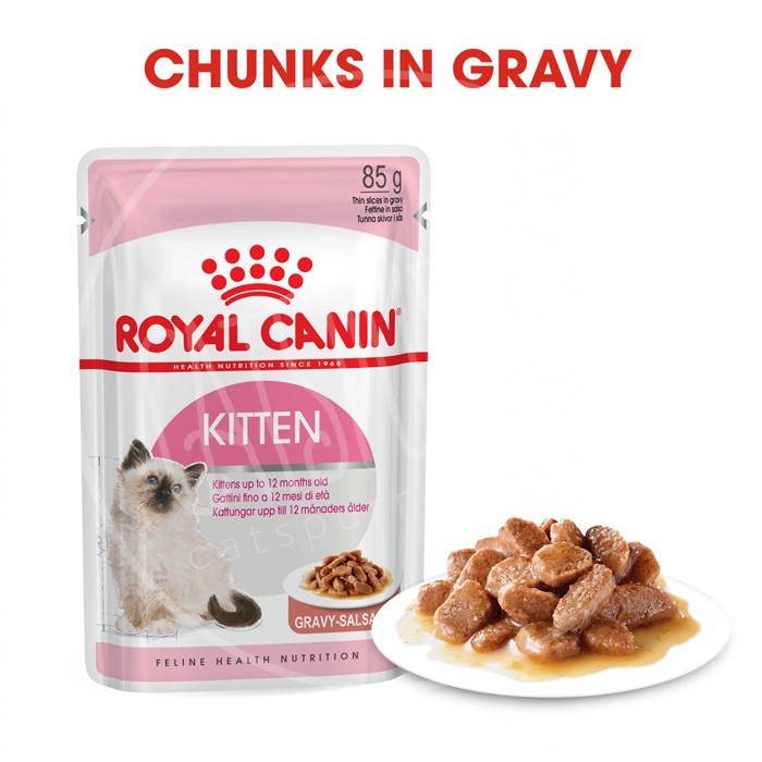 Royal canin 2024 kitten gravy salsa