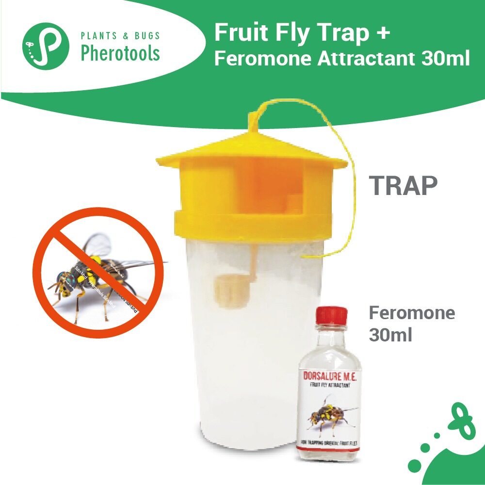 Fruit Fly KIT 1 x Trap & Pheromone Attractant Lure (30ml)