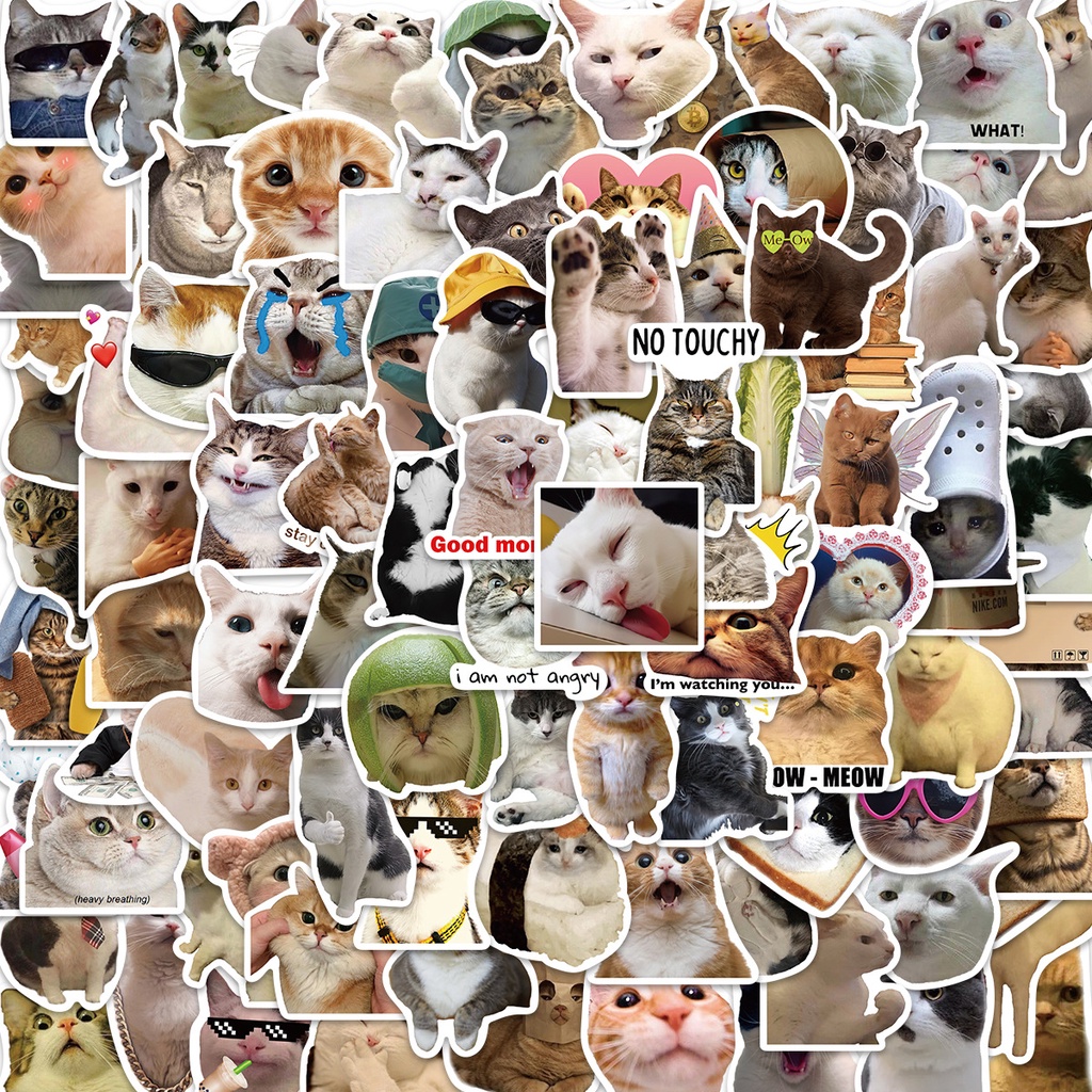 100/50PCS Funny Cat MEME Waterproof Graffiti Stickers For Luggage Phone ...
