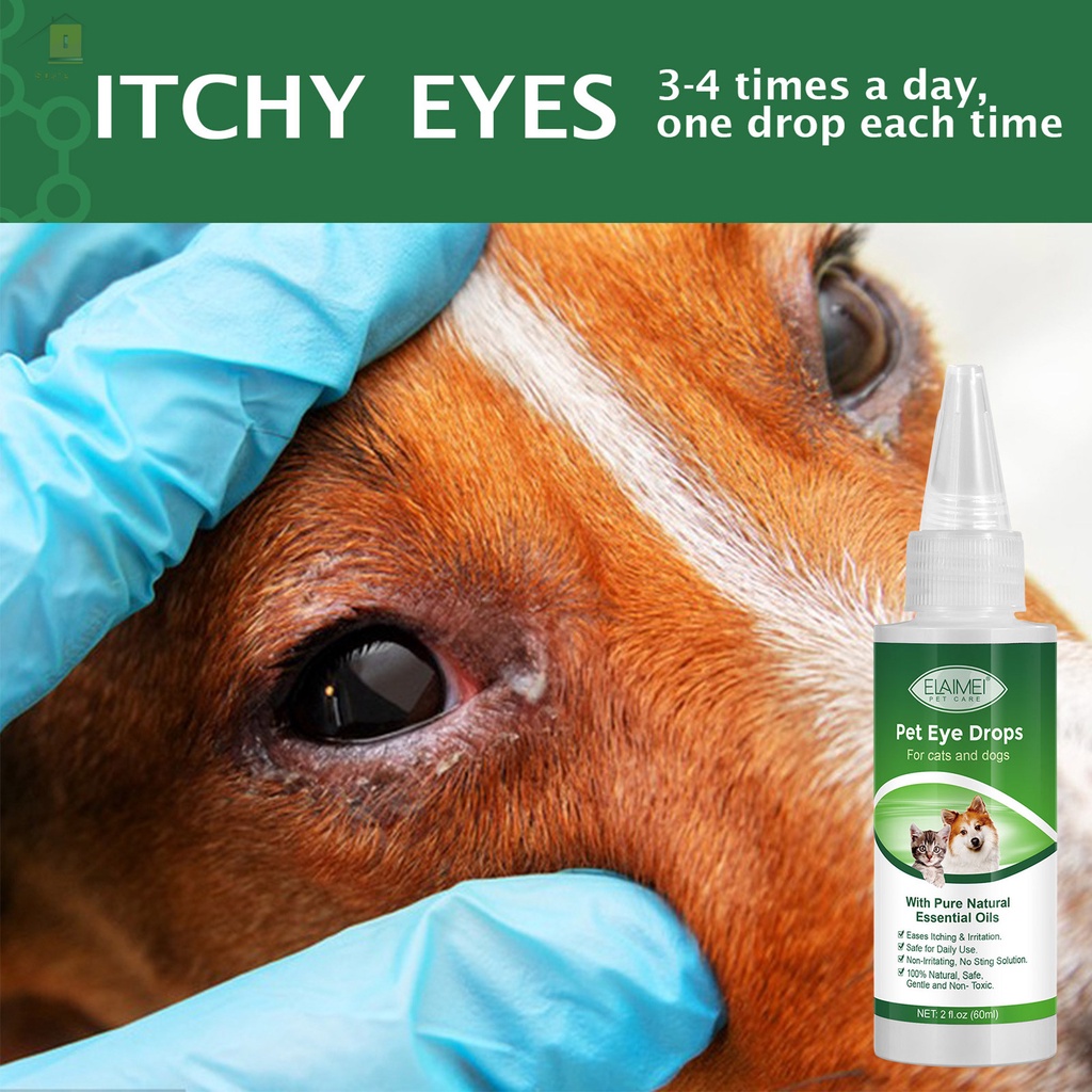 Dog Cat Conjunctivitis Eye Drops Improve Heavy Tear Stains in Pets