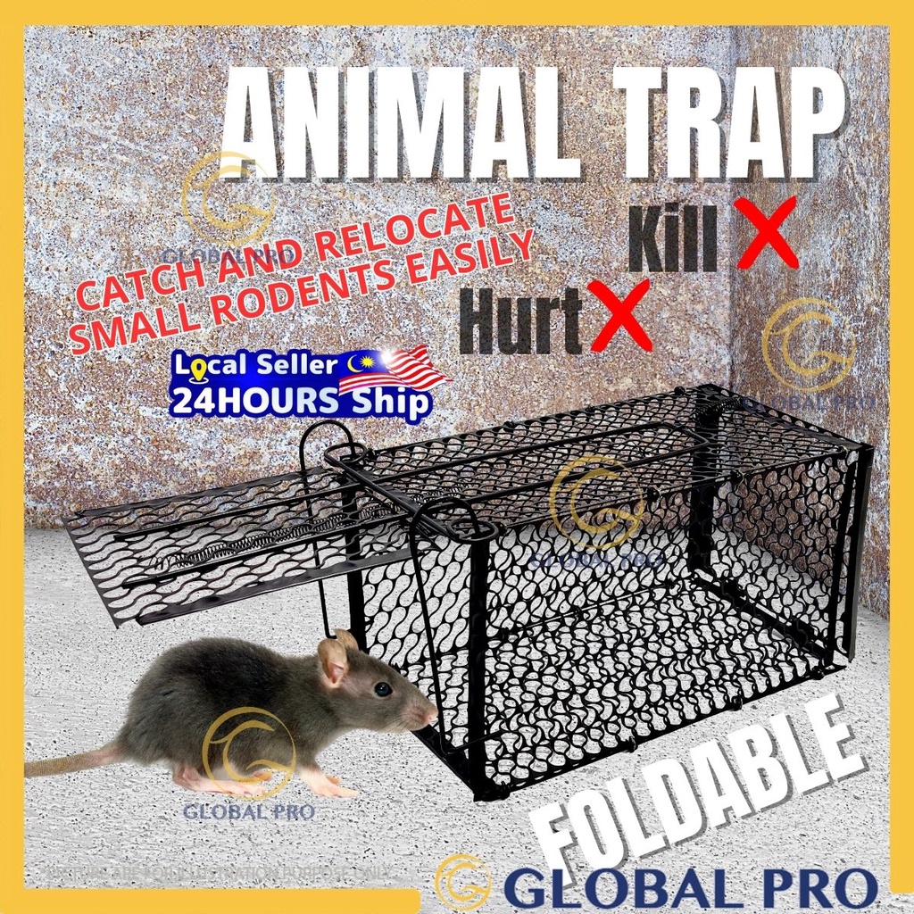 FOLDABLE Rat Trap Cage Perangkap Tikus Mouse Trap Cage Small Animals