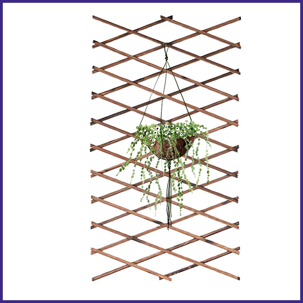 Garden Trellis for Climbing Expandable Garden Trellis Plant Support