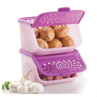 Tupperware potato, onion, garlic container mini access mate 2.3L capacity -  1pc