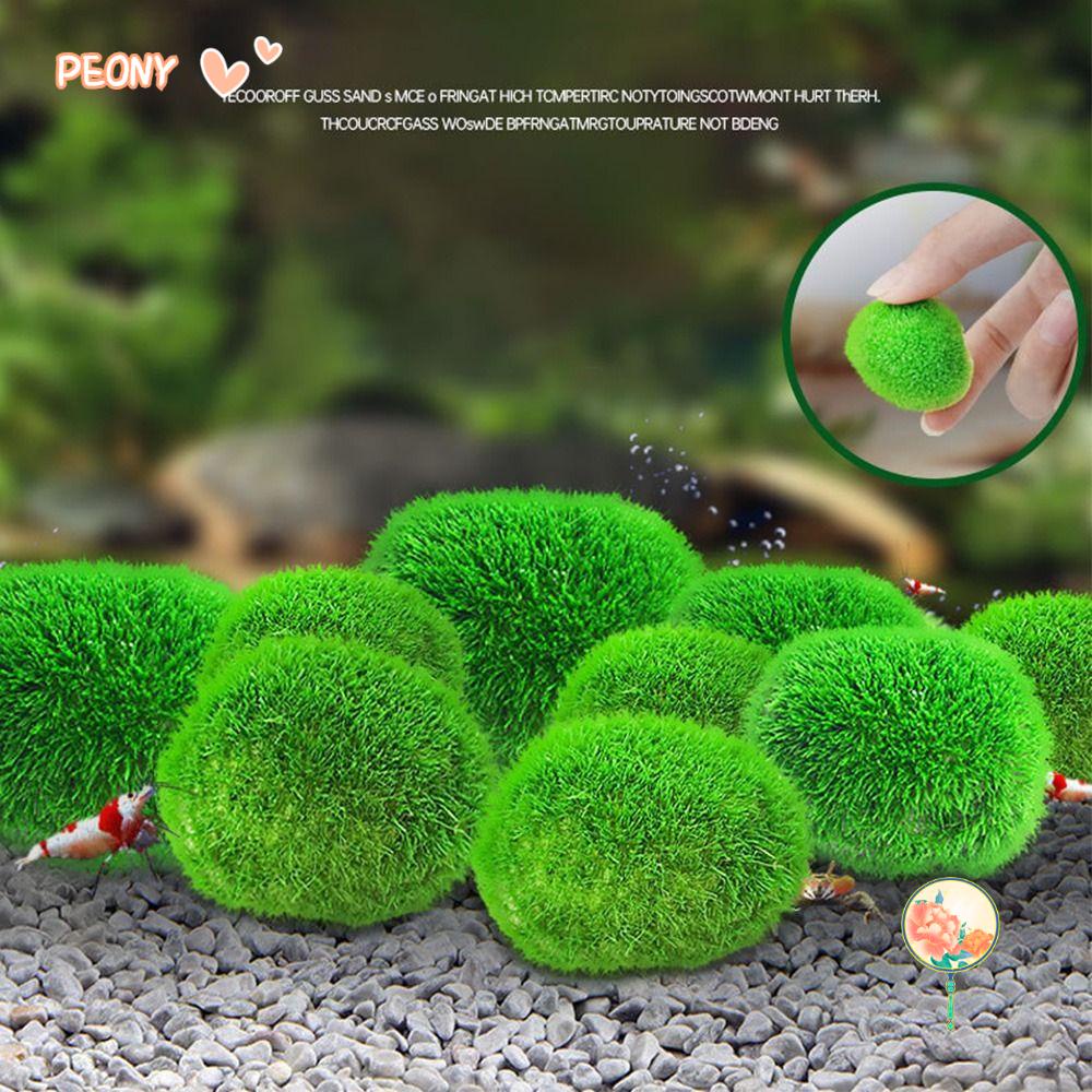 PEONYHOME Marimo Moss Malls Aquatic Pet Supplies Indoor Aquatic Plants Fish Tank Landscaping