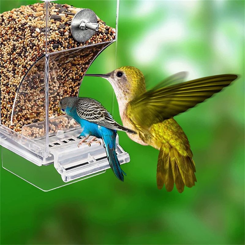 Transparent Bird Feeder Automatic Feeder Automatic Bird Seed Suspension