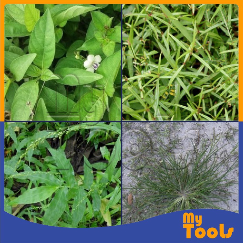 Mytools 250g Metfuron 20 Farmcochem Ally Herbicide WG 20% Class 4 Racun ...