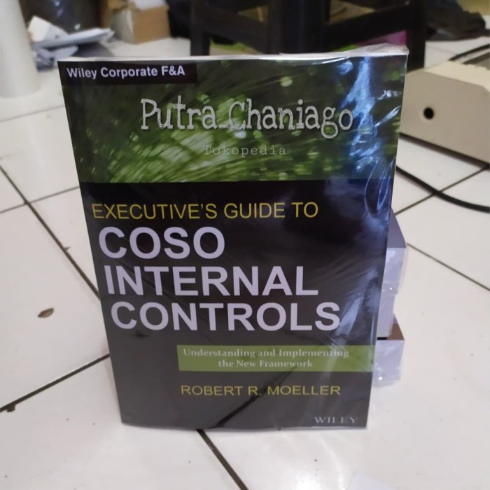Executive's Guide To Coso Internal Controls by Moeller (Print Book ...
