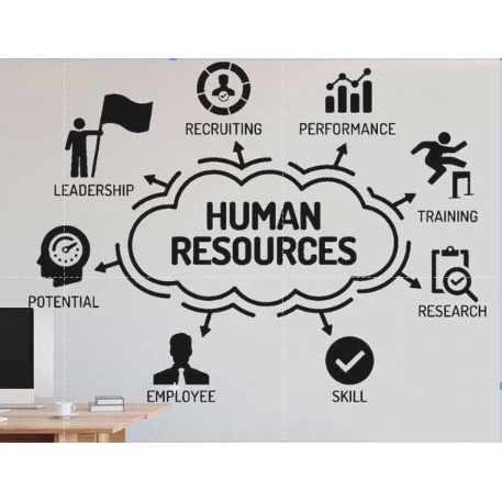 Human Resources Strategy Office Background Inspirational Quotes ...