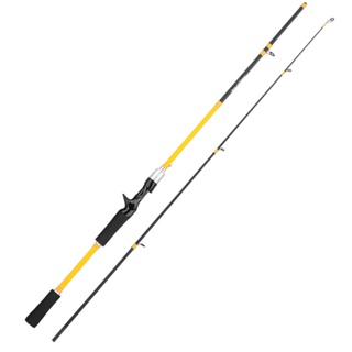 Casting/Spinning Fishing Rods High Quality 2 Sections Carbon Fiber
