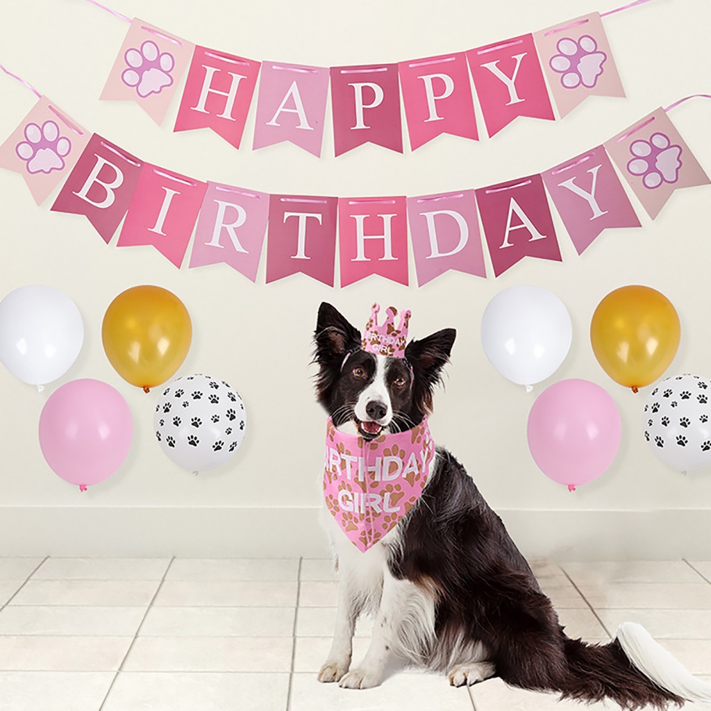 moreorders| Cute and Fun Pet Party Accessories Pet Birthday Party
