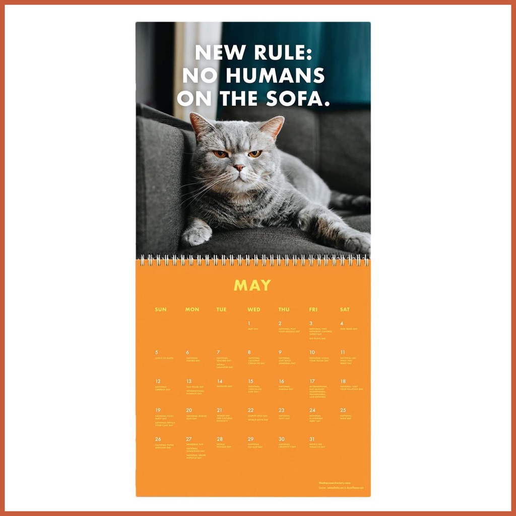 Cat Calendar 2024 Funny Cat Wall Calendar 2024 Pissed Off Cats Calendar