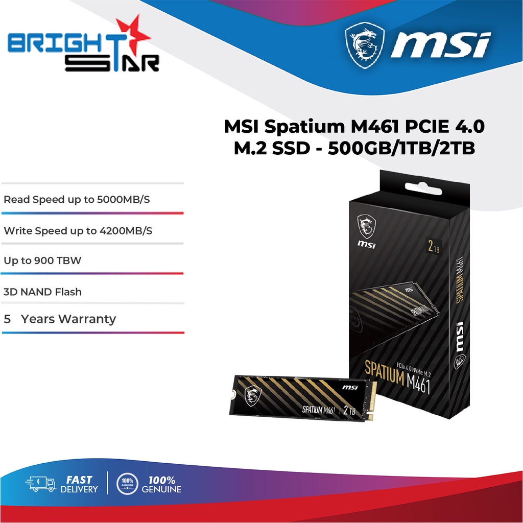 MSI Spatium M461 PCie 4.0 M.2 SSD (500GB/1TB/2TB) | Shopee Malaysia