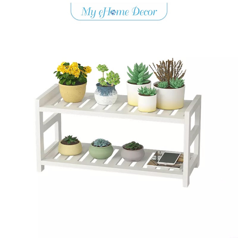 Mini cactus succulent plant tabletop rack office floationg window ...