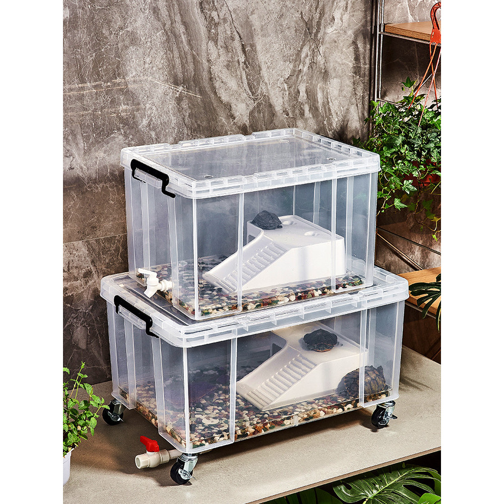 Turtle Tank, Transparent With Lid, Snapping Turtle Breeding Box, Grass ...