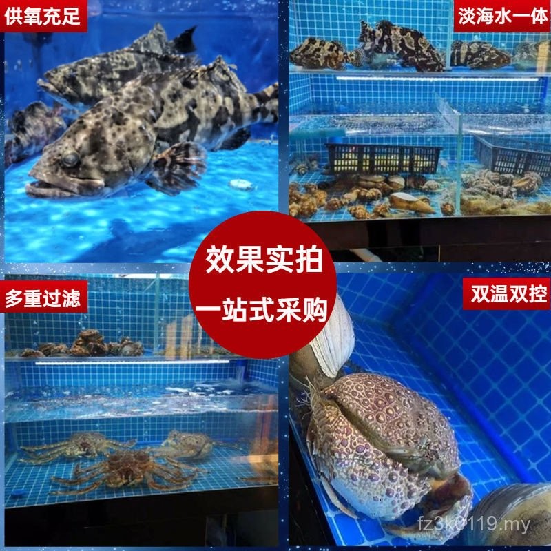 Dedicated Seafood Seafood Pond Commercial Three-Tier Fish Tank Movable ...
